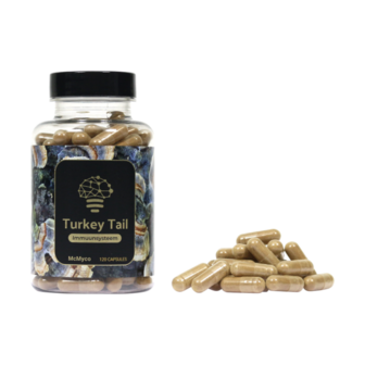 Turkey Tail extract - Elfenbankje