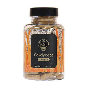 Cordyceps extract - rupspaddenstoel